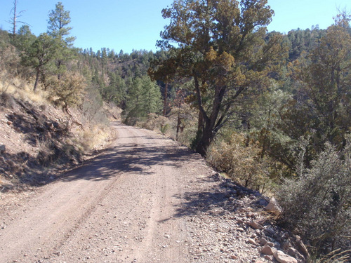 Gentle slope descent into Black Canyon.